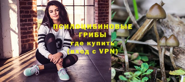 гидра Балахна